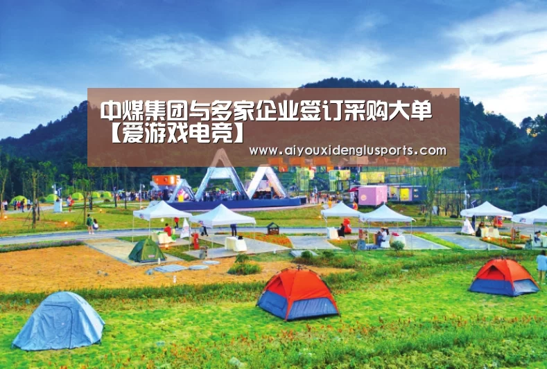 爱游戏体育