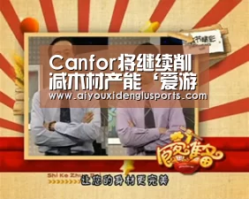 爱游戏电竞